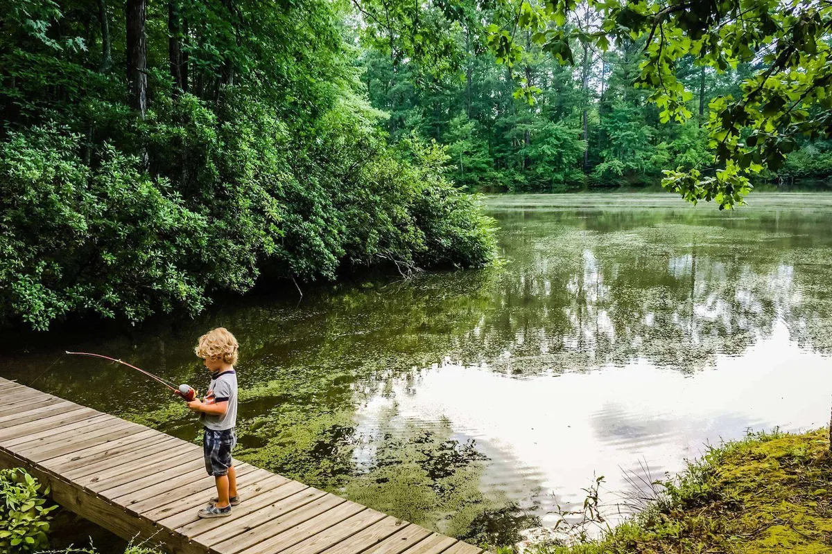 A young child fishes from a wooden dock overlooking calm water, surrounded by lush greenery. The setting is peaceful and highlights a sense of outdoor exploration and family bonding.