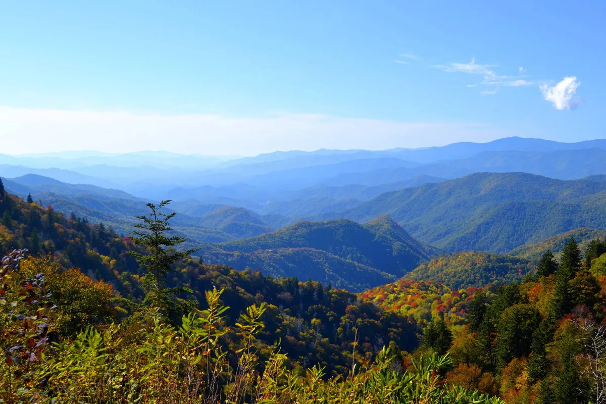 A panoramic view of mountain ranges with colorful foliage and a clear blue sky, evoking a sense of natural wonder and open-air exploration.